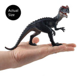 Load image into Gallery viewer, 7&#39;&#39; Realistic Dinosaur Dilophosaurus Solid Figure Model Toy