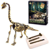 Load image into Gallery viewer, Large Dinosaur Skeleton Excavation Dig Up DIY Take Apart Dino Realistic Fossil Model Kit Toys Brachiosaurus